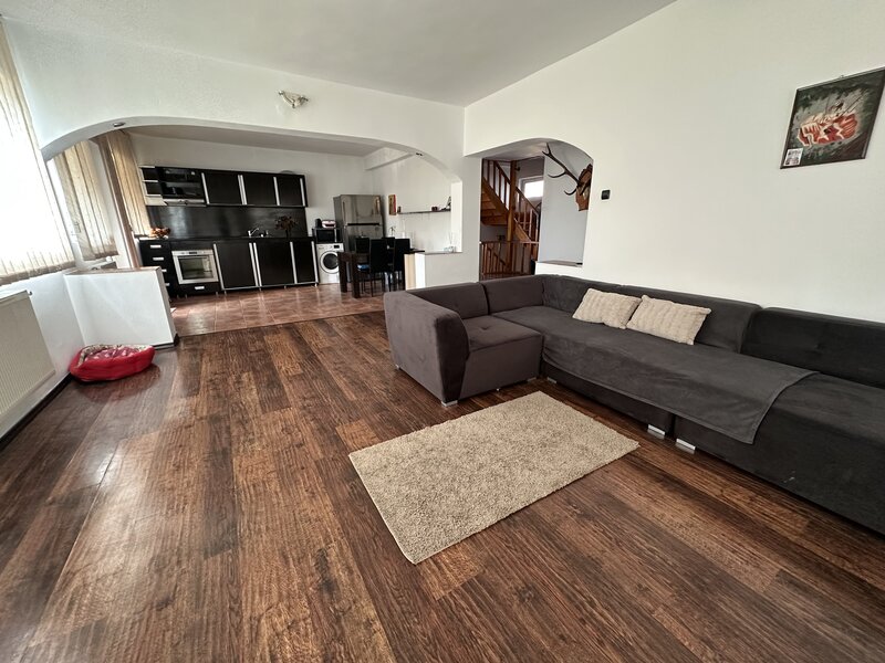 Buzau, bulevardul Unirii,