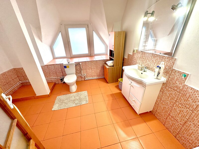 Buzau, bulevardul Unirii,